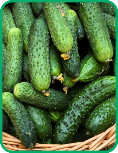 огірки у кошику